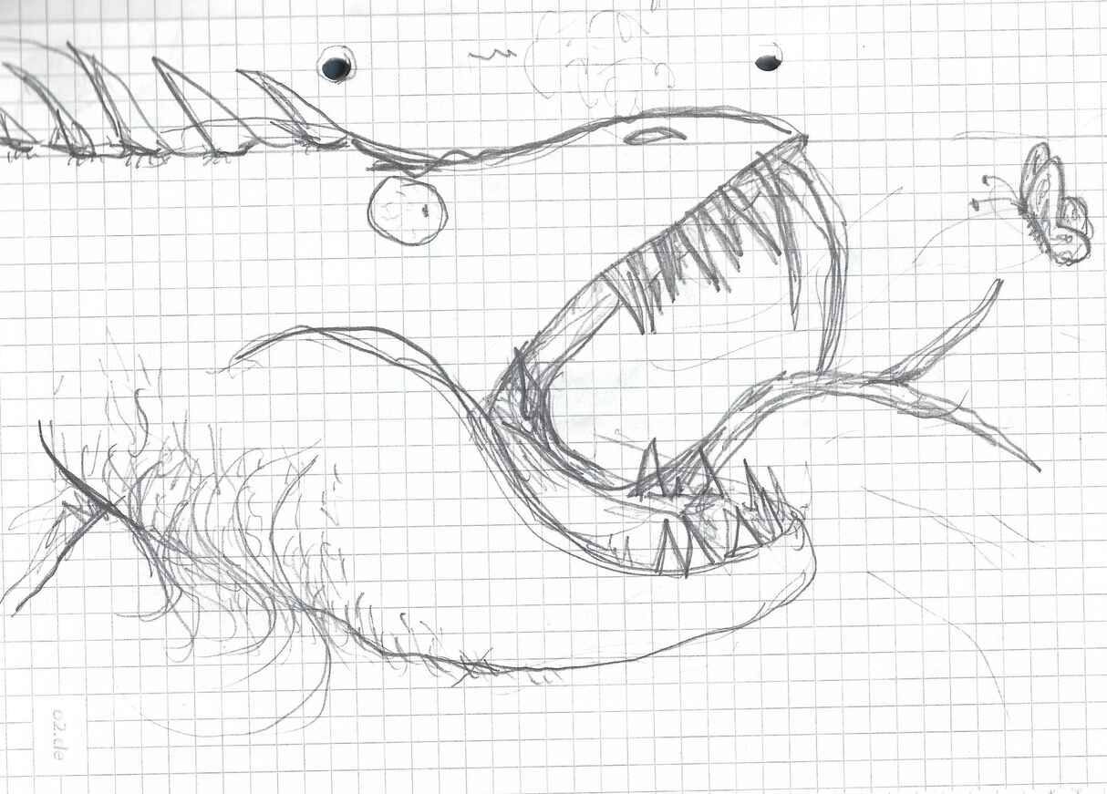 Doodle: dragon with butterfly