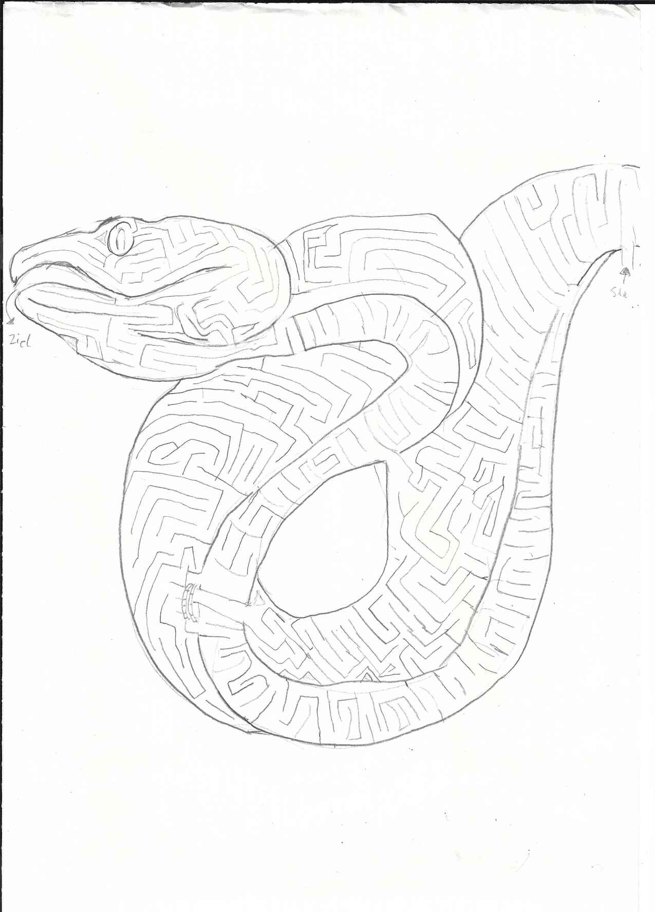 Doodle: snake maze
