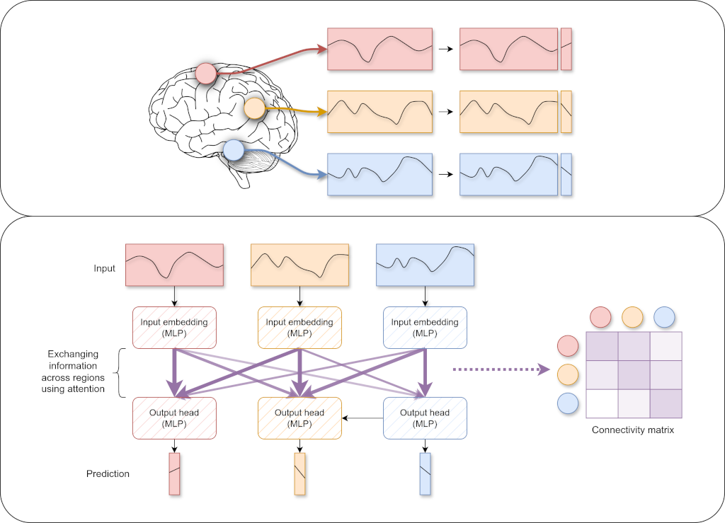 Overview of fMRI attention connectivity